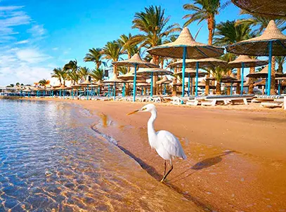 Exclusive Deal with Special Discount- Baron Palace Sahl Hasheesh, Hurghada- All Inclusive— 5 Star