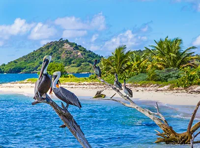 Exclusive Deals Coyaba Beach Resort for Couple —All-inclusive - 4 Star