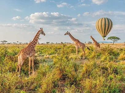 Exclusive Deal with Special Discount- The Residence Zanzibar, Tanzania- Breakfast - 5 Star