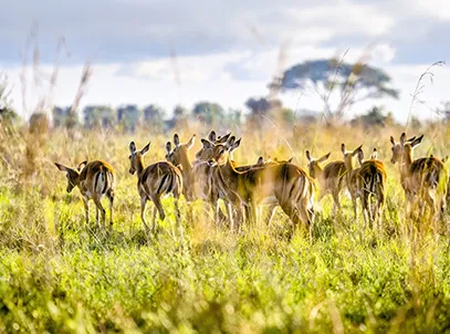 Exclusive Deals- Crowne Plaza Nairobi Airport, an IHG Hotel 5 Star