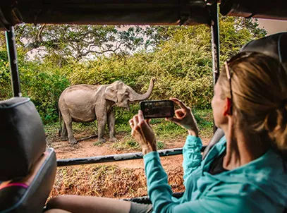 Exclusive Deal with Special Discount- Cinnamon Wild Yala, Yala National Parksafari- Breakfast — 5 Star
