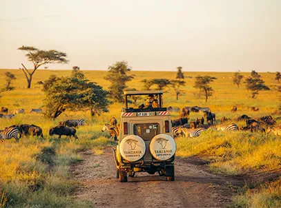 Best Deal- Hyatt Regency Dar-Es-Salam, The Kilimanjaro with Breakfast – 5 star