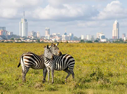 Best Deals- Radisson Blu Hotel Nairobi Upper Hill with Breakfast — 5 star