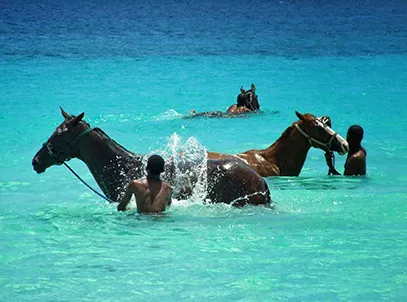 Exclusive Deal- Treasure Beach by Elegant hotels - All-Inclusive