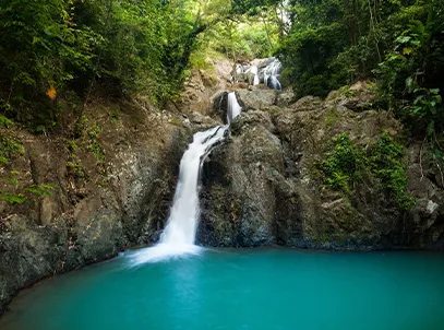 Exclusive Deals with Special Discount- Starfish Tobago Resort, Tobago- All Inclusive —3 Star